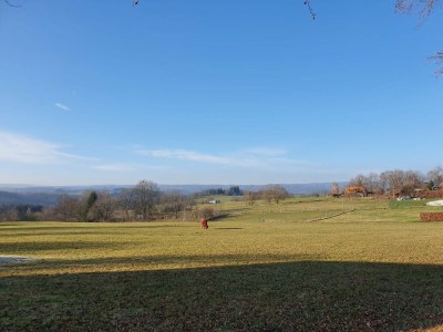 Holiday house Eifel Oasis - Environment photo 24