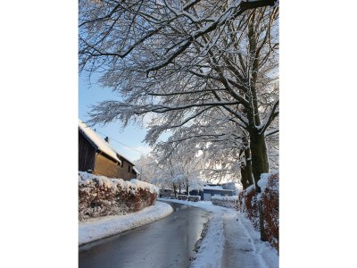 Holiday house Eifel Oasis - Environment photo 25