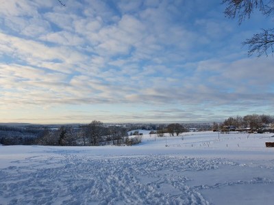 Holiday house Eifel Oasis - Environment photo 27