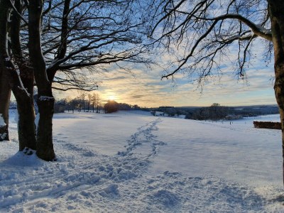 Holiday house Eifel Oasis - Environment photo 28