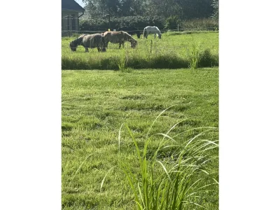 Holiday apartment "Ebbe in Bossis Hus" - Features photo 14