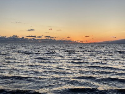 Holiday apartment "Ebbe in Bossis Hus" - Environment photo 18