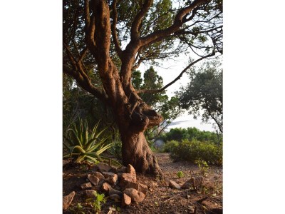 Villa No title - Outdoor photo 15