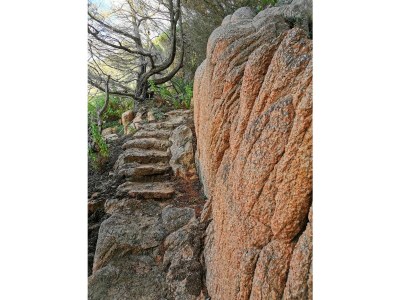 Villa No title - Environment photo 32