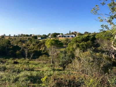 Villa Casa Mú - Environment photo 49