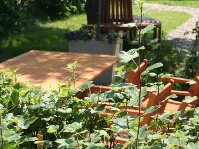 Holiday apartment "Luv" in house Smäswai 10 - Outdoor photo 3