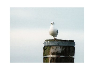 Holiday apartment "Lee" in house Smäswai 10 - Environment photo 30