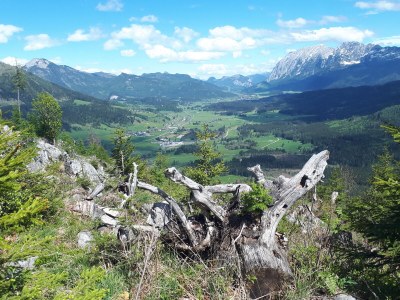 Chalet NaturZeit - Environment photo 32