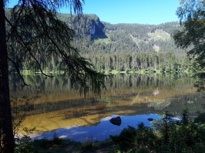 Chalet NaturZeit - Environment photo 34