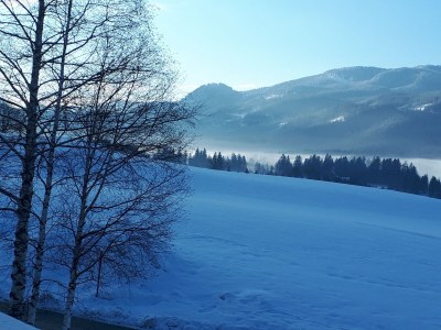 Chalet NaturZeit - Environment photo 37