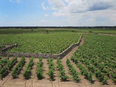 Cottage Casa Taschira - Environment photo 26