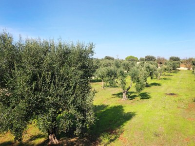 Cottage Casa Taschira - Environment photo 31