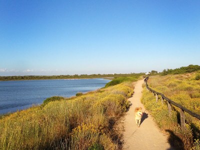 Cottage Casa Taschira - Environment photo 32