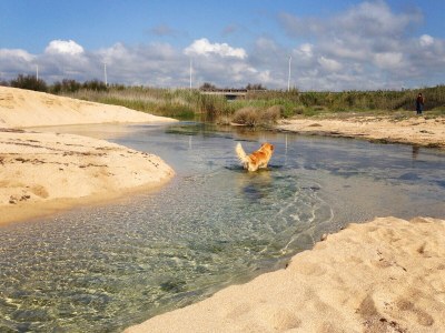 Cottage Casa Taschira - Environment photo 33