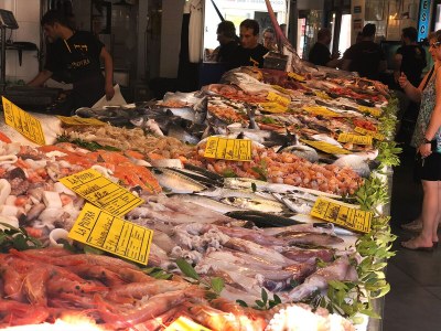 Cottage Casa Taschira - Environment photo 35