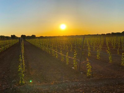 Cottage Casa Taschira - Environment photo 38