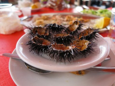 Cottage Casa Taschira - Environment photo 40