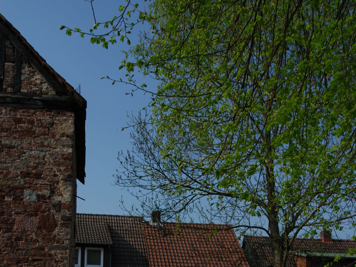 Holiday house 'Fischerhaus' - Outdoor photo 4