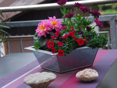 Holiday house 'Fischerhaus' - Outdoor photo 6