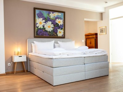 Holiday apartment Alpen Loft - Features photo 16