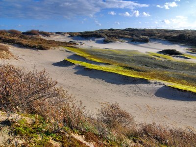 Holiday house Herckenstein 158 - Environment photo 12