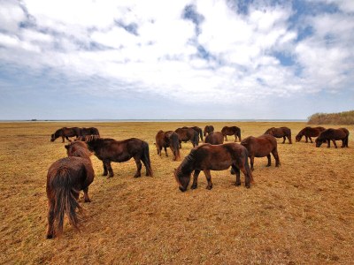 Holiday house Den Osse 142 - Environment photo 19