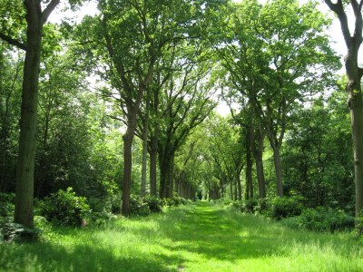 Holiday house Den Osse 142 - Environment photo 21