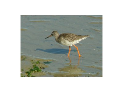 Holiday house Den Osse 140 - Environment photo 16