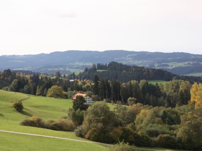 Holiday apartment house Schwärzler - Environment photo 13