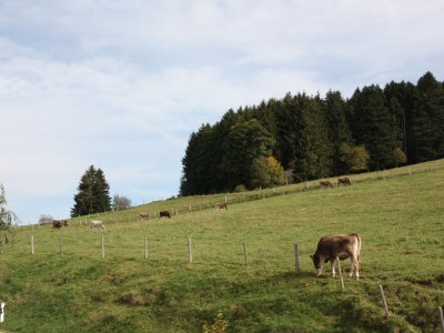 Holiday apartment house Schwärzler - Environment photo 14