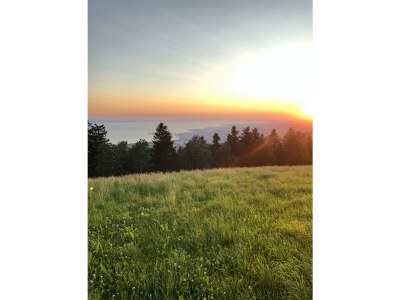 Holiday apartment house Schwärzler - Environment photo 19