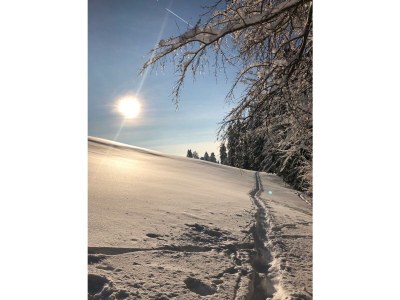 Holiday apartment house Schwärzler - Environment photo 20