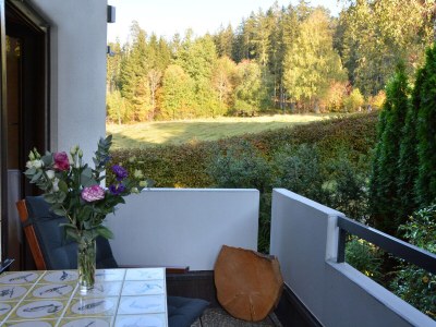 Holiday apartment Lupine - Outdoor photo 9