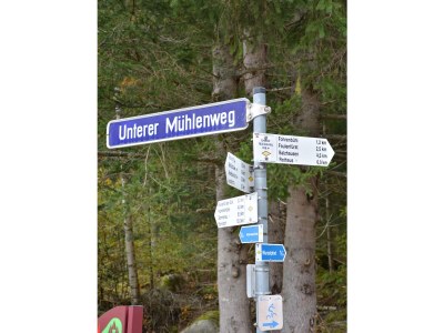 Holiday apartment Lupine - Environment photo 16