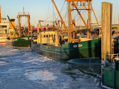 Holiday house Janssen - Environment photo 33