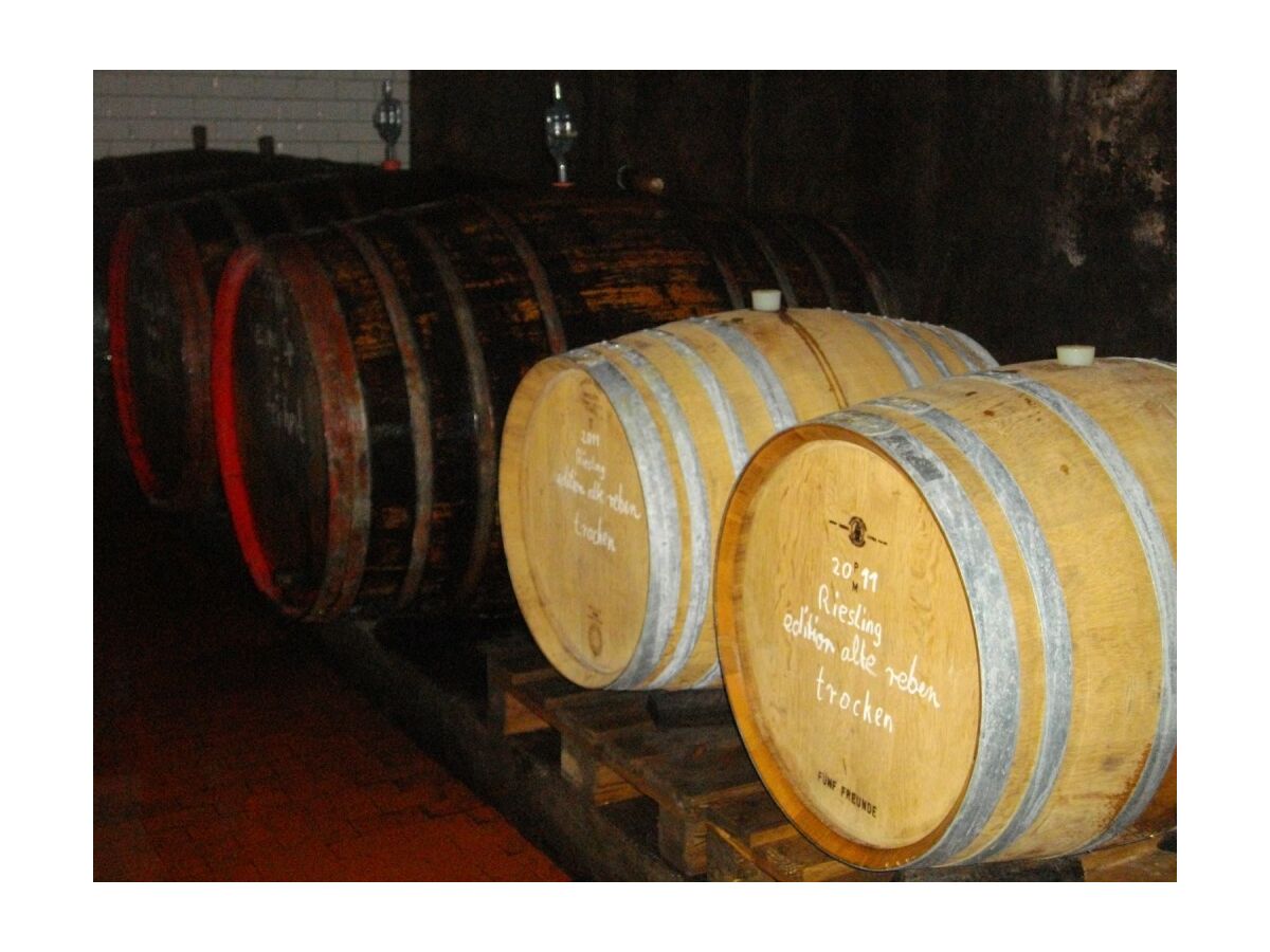 Holiday apartment Casa Barzen - Outdoor photo 3