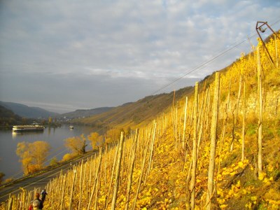 Holiday apartment Casa Barzen - Environment photo 34