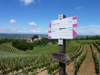 Holiday house Allegria zur Alleinnutzung in Panoramalage - Environment photo 25