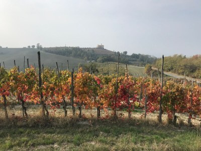 Holiday house Allegria zur Alleinnutzung in Panoramalage - Environment photo 33