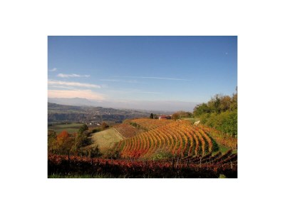 Holiday house Allegria zur Alleinnutzung in Panoramalage - Environment photo 34