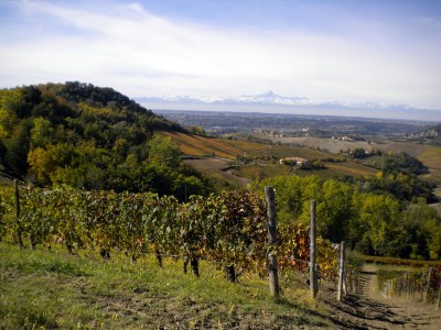 Holiday house Allegria zur Alleinnutzung in Panoramalage - Environment photo 35