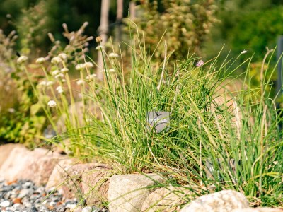 Holiday house Sound dream - Outdoor photo 9