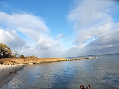 Holiday house Sound dream - Environment photo 35