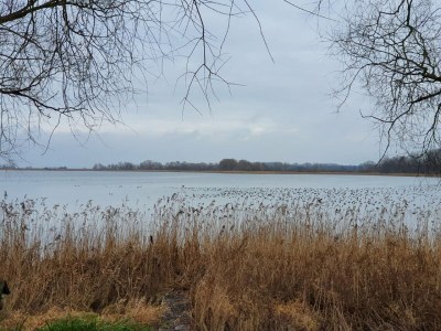 Holiday house Sound dream - Environment photo 37