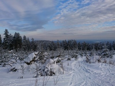 Holiday apartment Harzbude - Environment photo 19