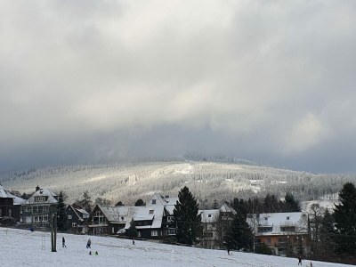 Holiday apartment Harzbude - Environment photo 21