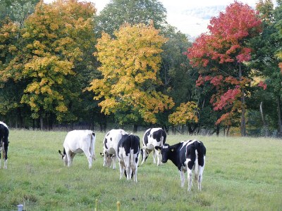 Holiday house Morzeck - Environment photo 26