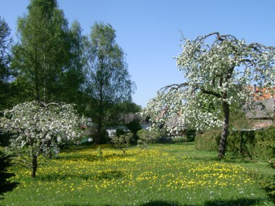 Holiday house Morzeck - Environment photo 30