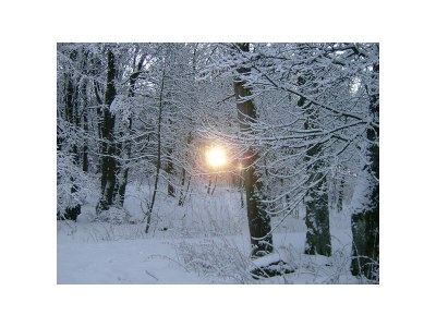 Holiday house Morzeck - Environment photo 31