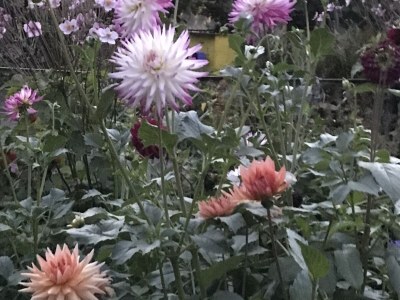 Holiday house Morzeck - Environment photo 32